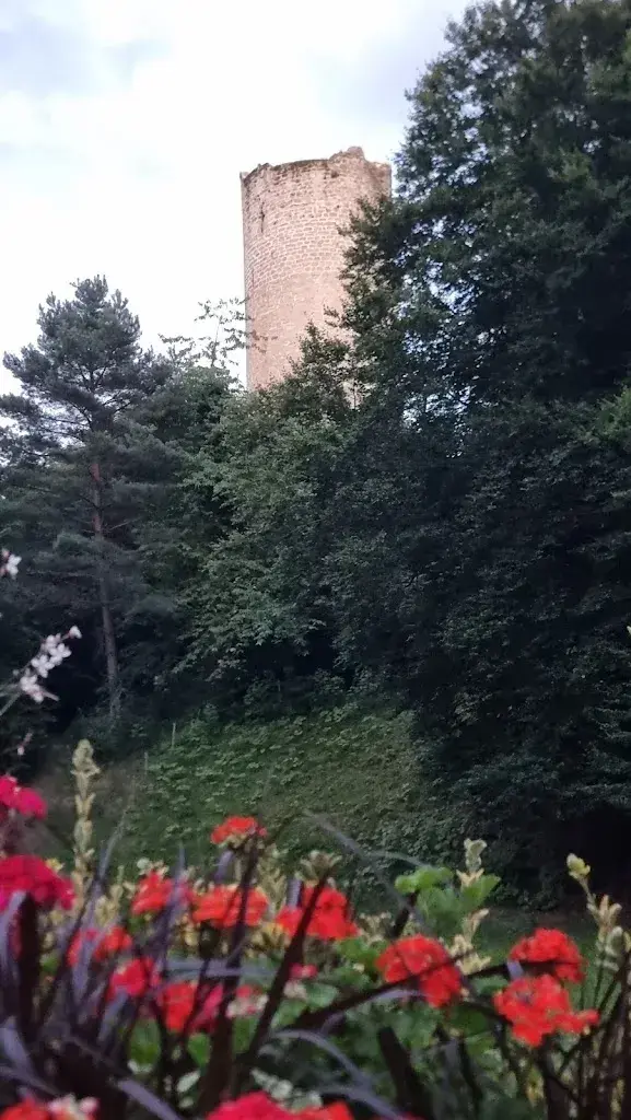 DENKMAL Christian Python_Restaurant des Arbognes_Cousset_review