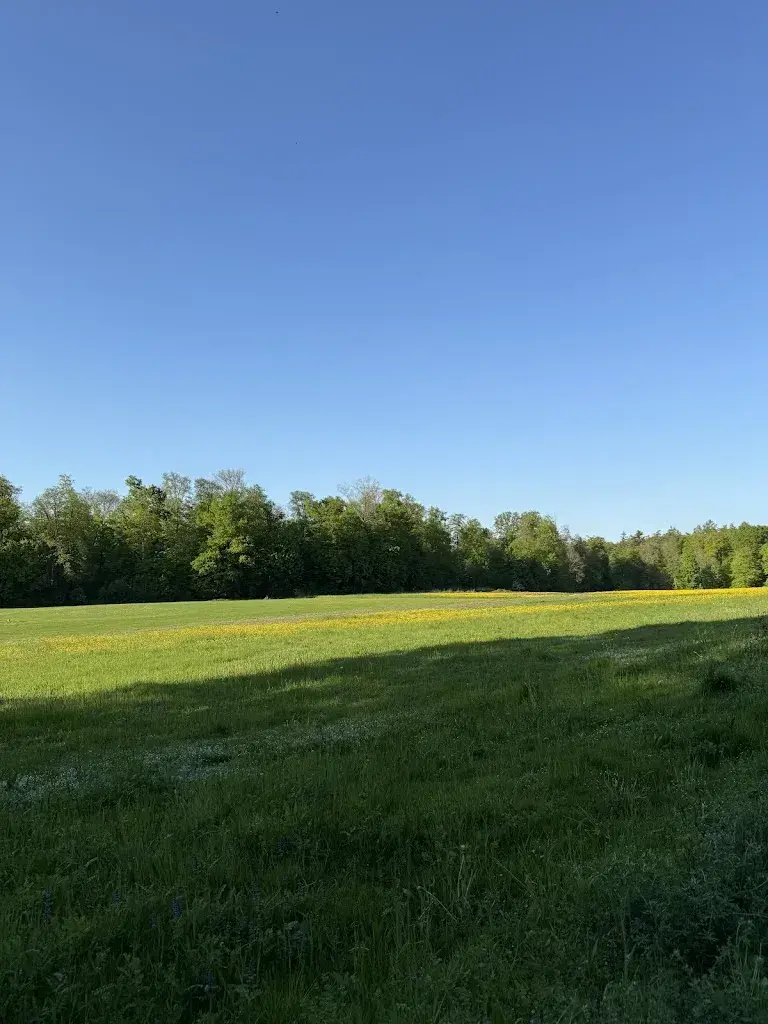 Hyeon Jin Seo_Restaurant Adlisberg_Zürich_review