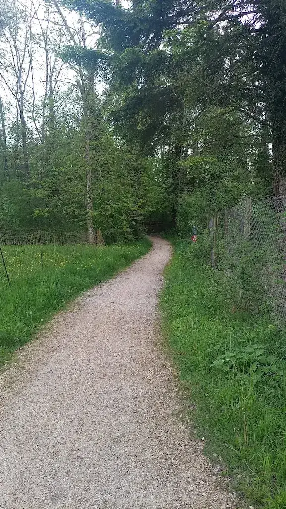 MAlissa TWM_Restaurant Rothaus_Gampelen_review