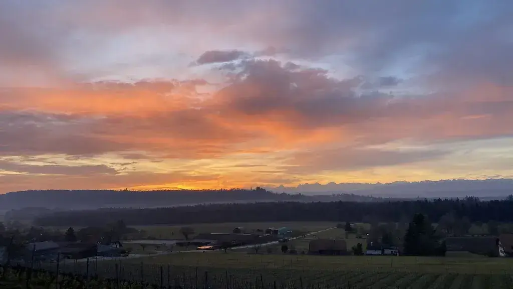 Daniel Küpfer_Rehaklinik Tschugg_Tschugg_recensione