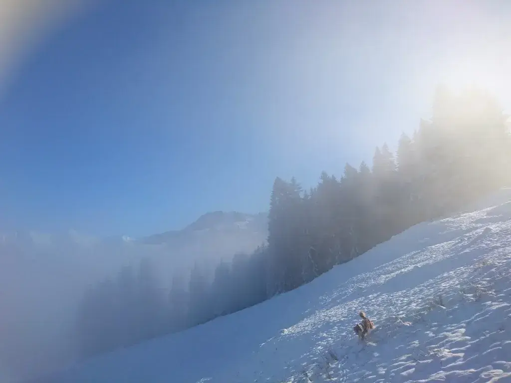 Marlyse Vuarnoz_Buvette de La Chia_Bulle_review