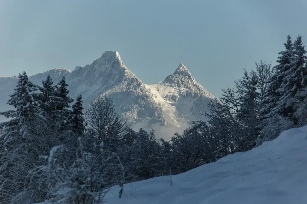 Somnium_Buvette de La Chia_Bulle_review