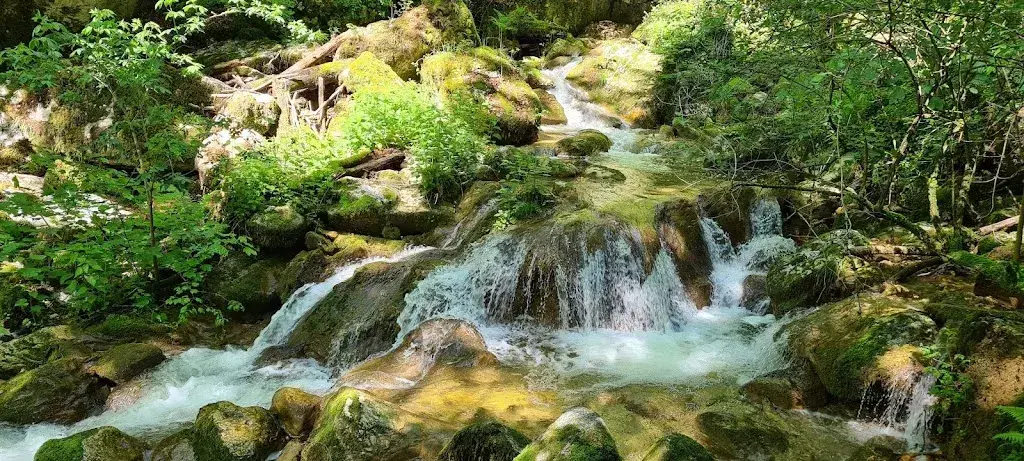 Tobias Kern_Tschannen_Mörigen_avis