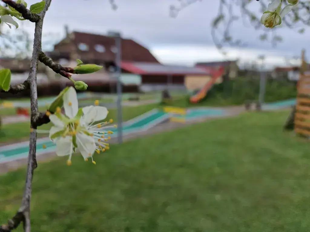 Yannick Verdon_Restaurant et Minigolf des Pommiers_Cudrefin_review