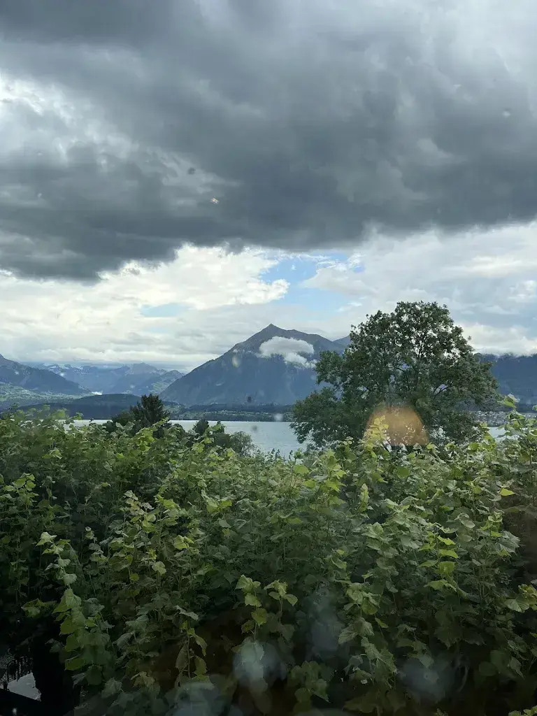 Berkan Suna_Panorama Hotel Restaurant Schönbühl_Hilterfingen_review