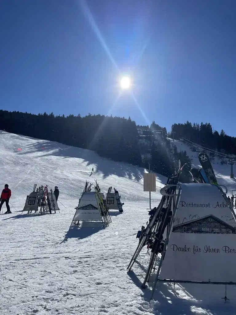 James Callum_Aebi_Adelboden_avis