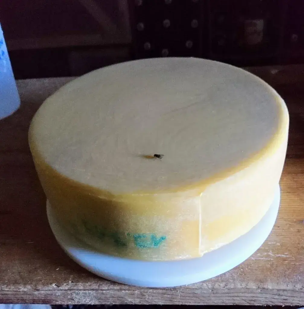 Menu_Alphütte Bütschi_Adelboden_image_1