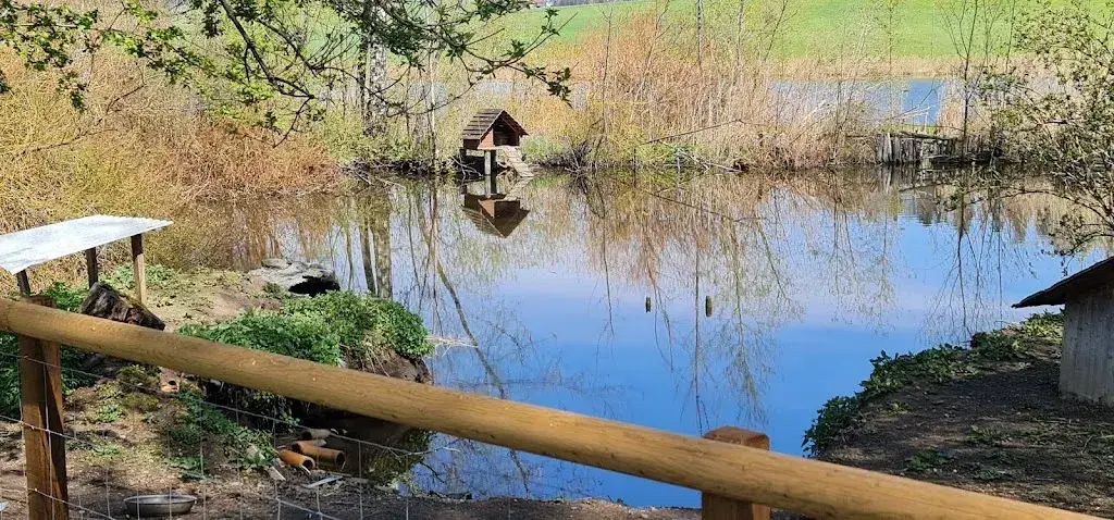 MajorTwip_Erlebnisland Grizzlybär_Forst-Längenbühl_review