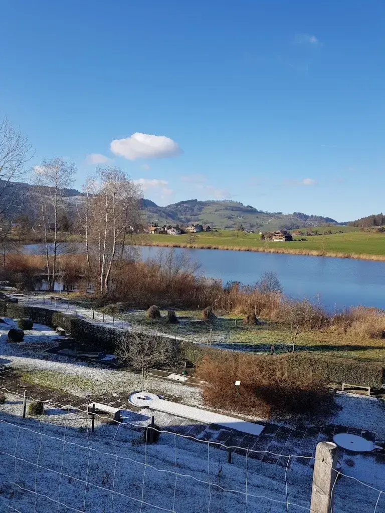 Michelle “Shelli” Teiniker_Erlebnisland Grizzlybär_Forst-Längenbühl_review