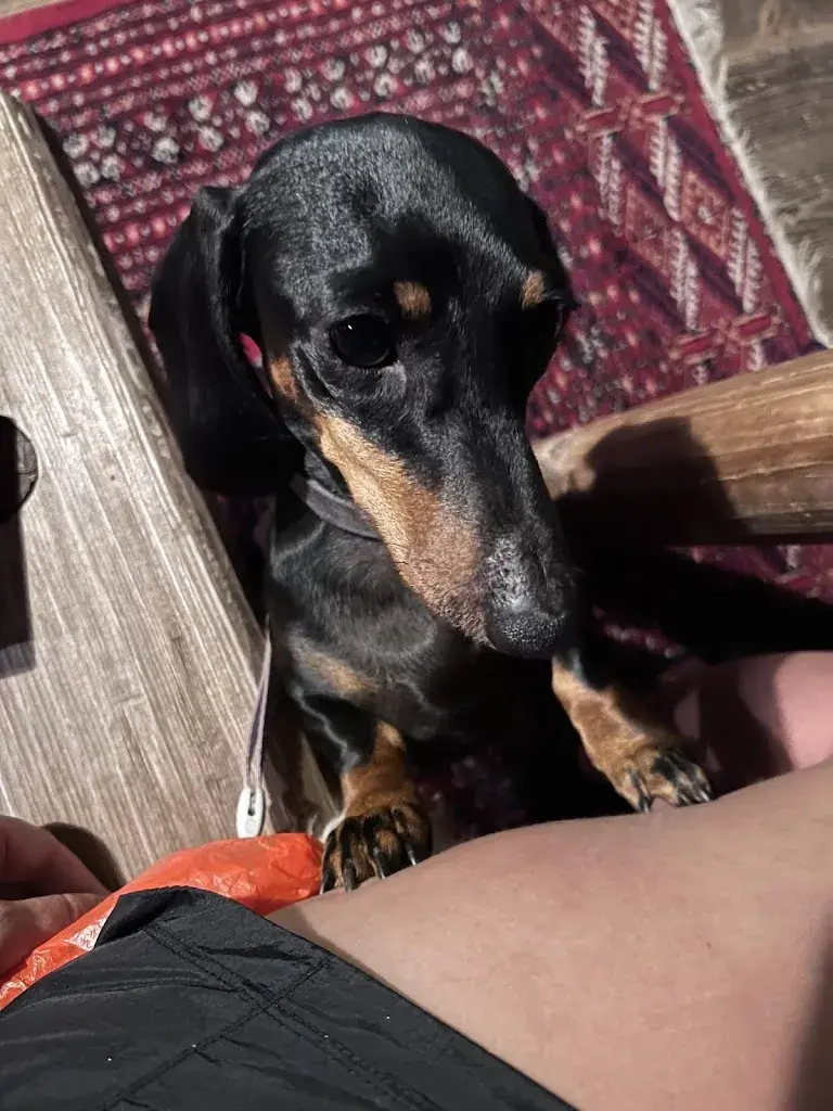 T L_Restaurant Bar Tannuheim_Leukerbad_review