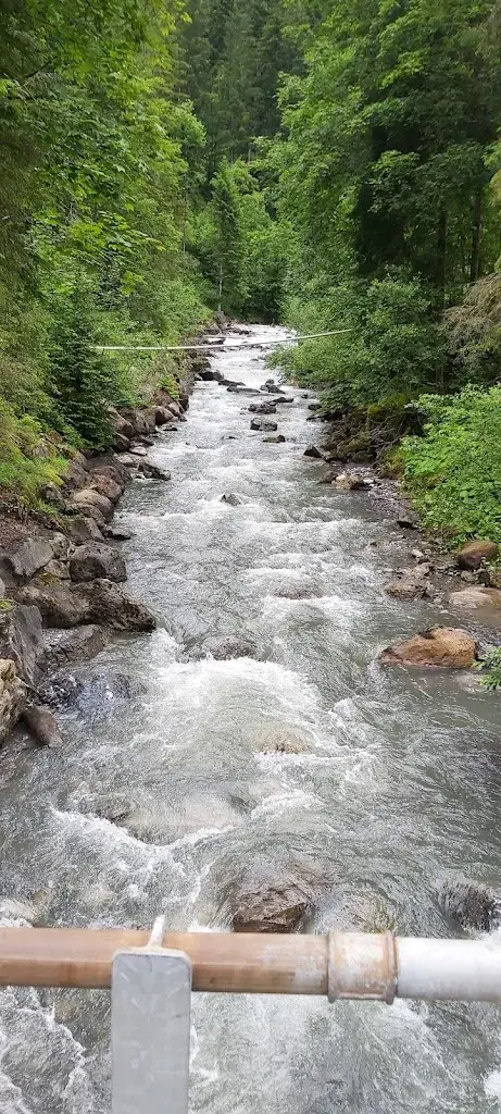 Pankaj Mishra_Gasthaus Suld_Aeschi bei Spiez_Bewertung