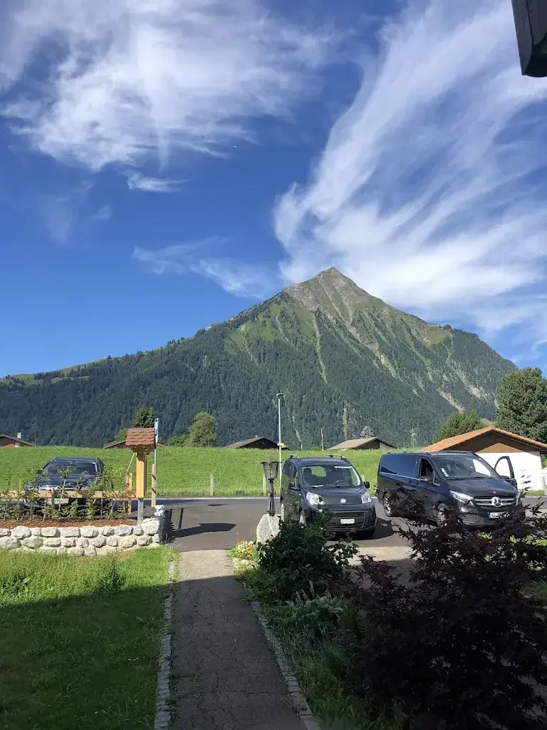 Ismail Almandooos_Hotel Pension Restaurant Sunnmatt_Aeschi bei Spiez_avis