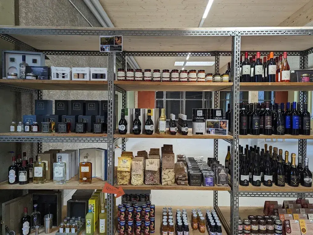 Netpunk_Grüne Halle Langenthal_Langenthal_reseña