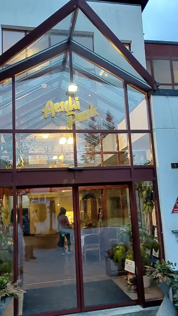 DAMIENCKC_Hotel Aeschi Park_Aeschi bei Spiez_avis