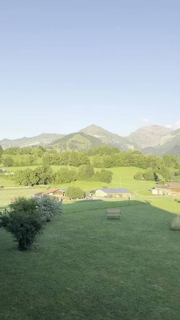 Jenny Mendes-van Beinum_Bergblick Lodge_Aeschi bei Spiez_review