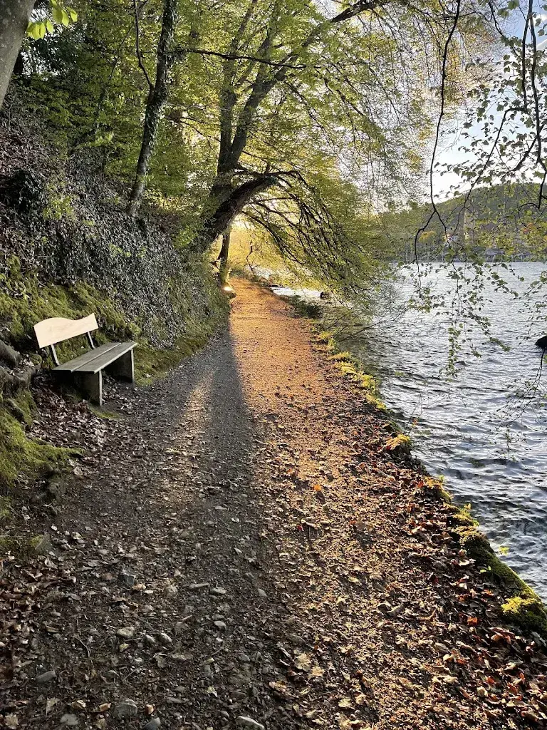 Надежда Корку_Belvédère Strandhotel_Spiez_avis