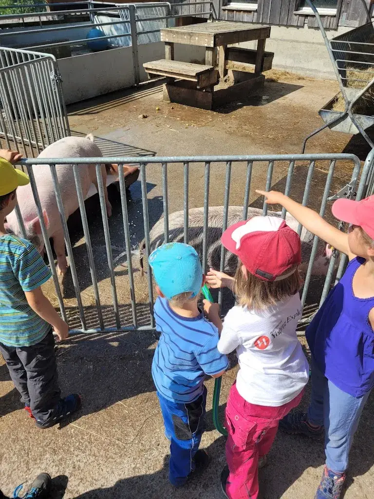 Stephanie Allemann_Erlebnishof Hatti_Aeschi bei Spiez_avis