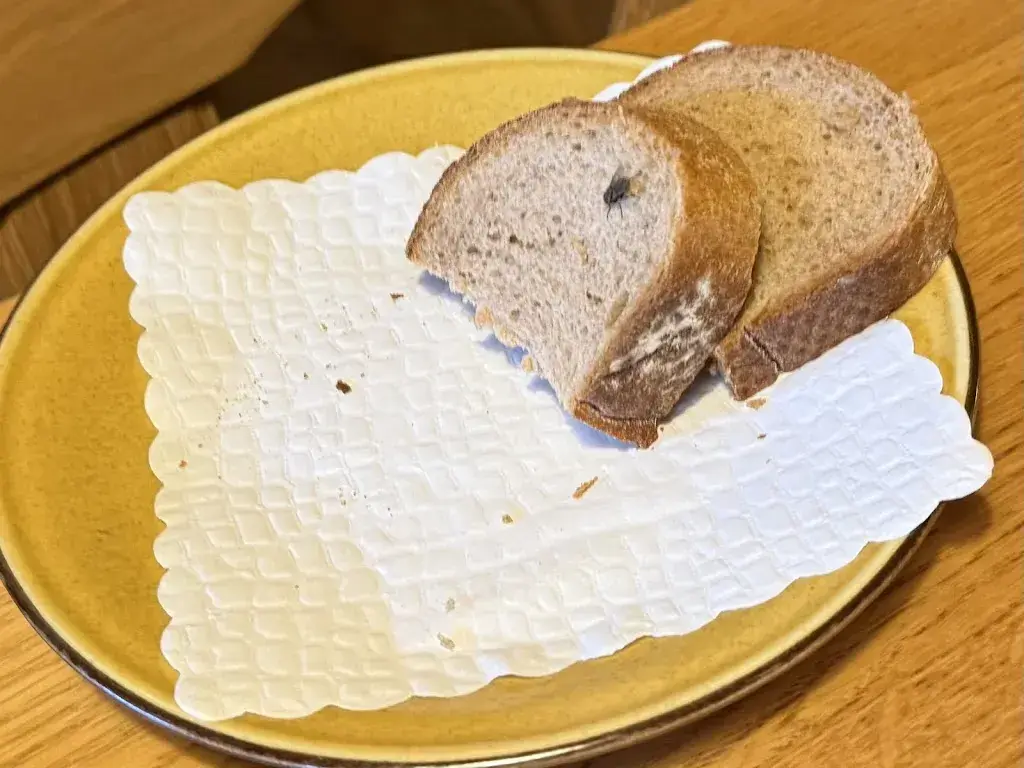 Leah H_Restaurant Bären_Unterseen_avis