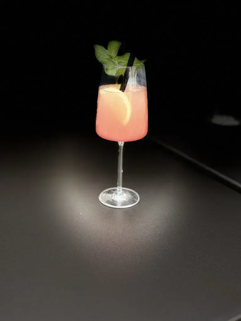 M-Tron Logfile_Goldener Anker_Interlaken_recensione