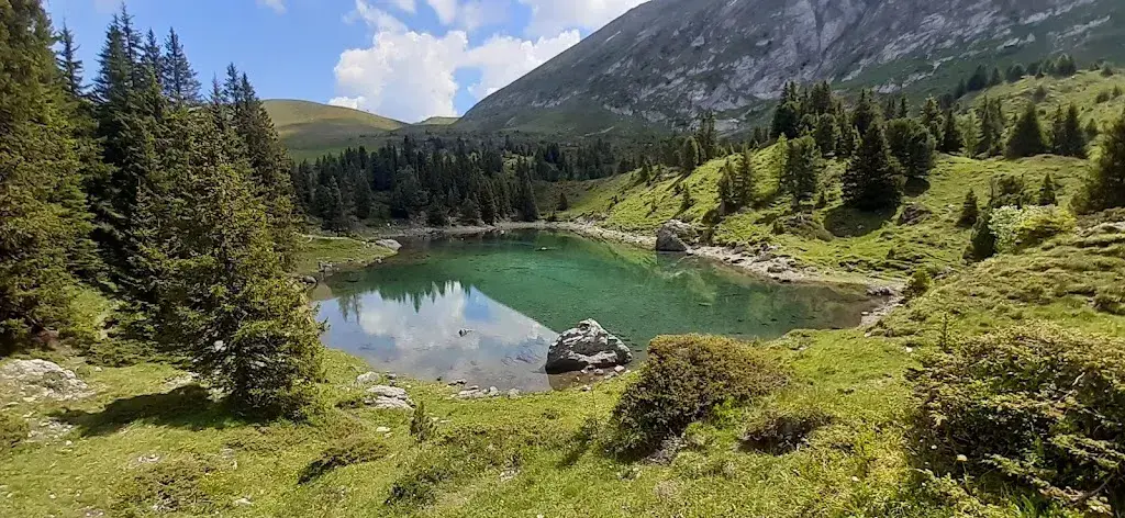 Beat Schneider_Elsighütte_Achseten_review