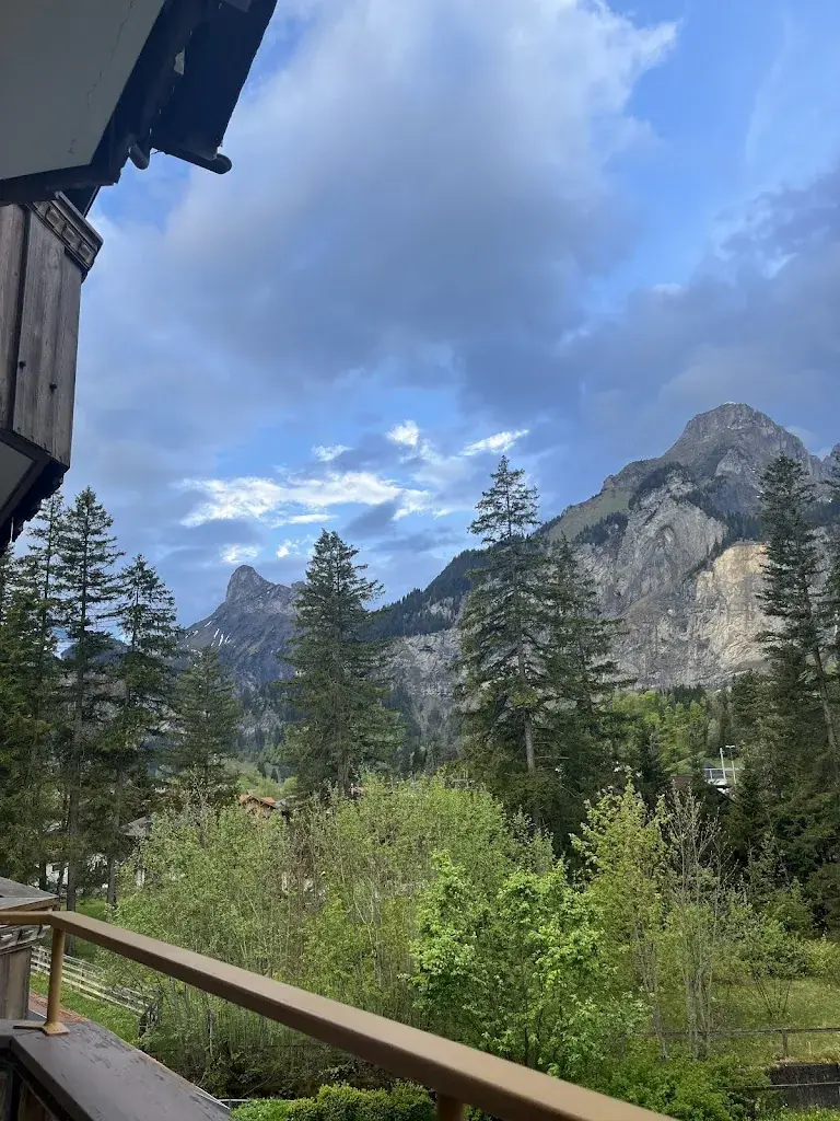 Judit Jona_Hotel-Restaurant Bernerhof_Kandersteg_avis