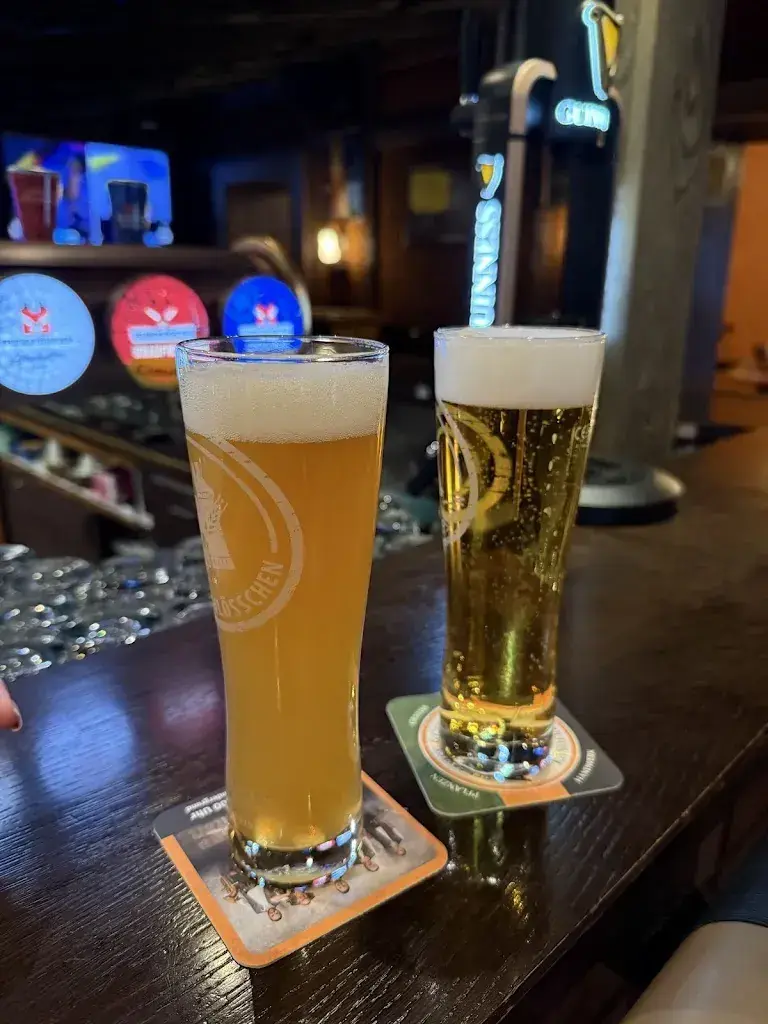 Barbara Stevenson_Hotel des Alpes_Kandersteg_avis