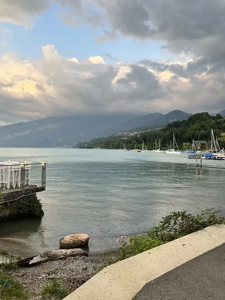 Harpreet Singh_Mykonos Restaurant Faulensee_Spiez_reseña