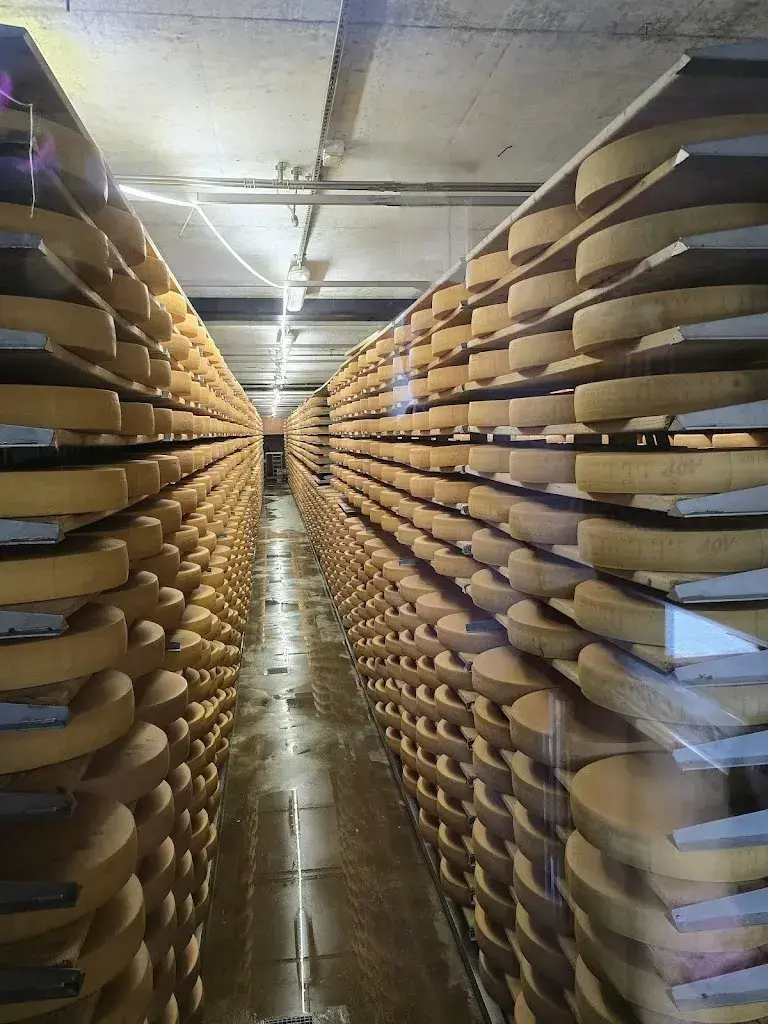 Ani Gisnarian_La Maison du Gruyère_Gruyères_Bewertung