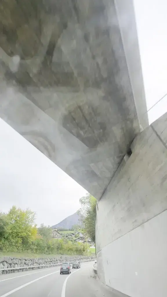 Mansour Mansouri_Blue Turtle GmbH_Faulensee_review