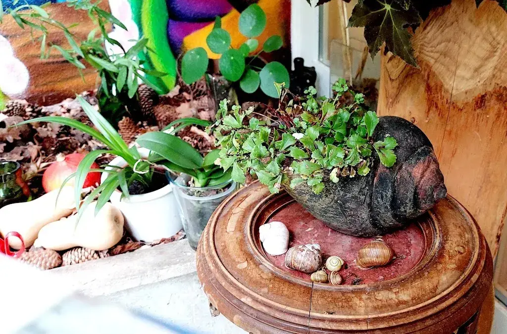 Saveursauvages, Judith Baumann_Val-de-Charmey_menu_image_1