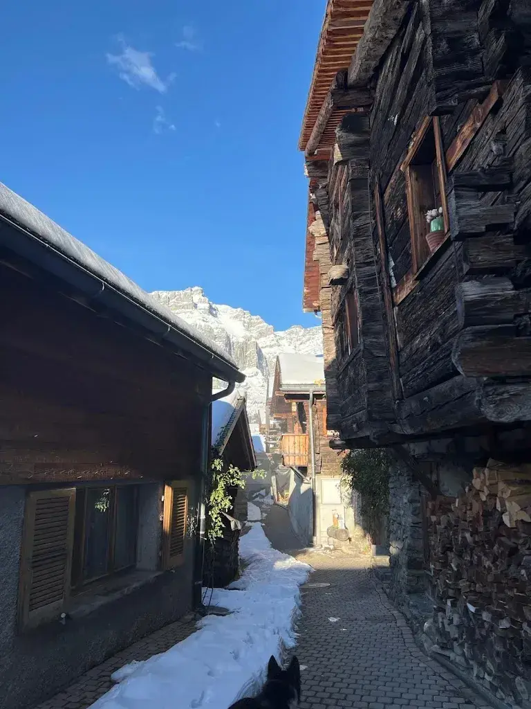 Muralidharan Kannaian_Wirtshaus Godswärgjistubu_Albinen_avis