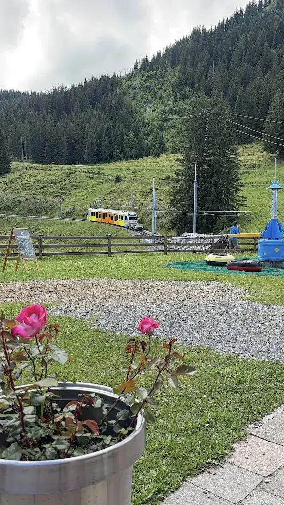 Tanushree Gahlot_Restaurant Winteregg_Mürren_avis