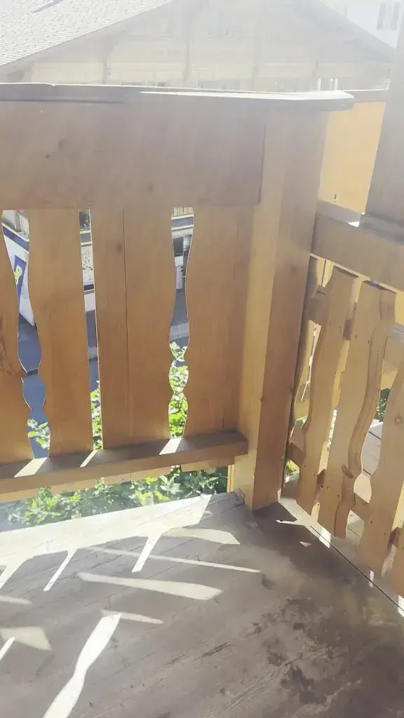 Wajeeha Husain_Chalet-Hotel Adler AG_Kandersteg_avis