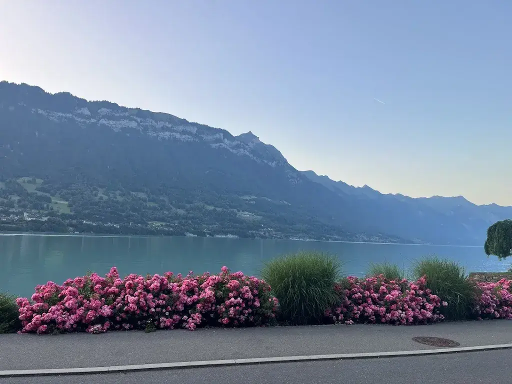 Jawahar S_Seehotel Bönigen_Bönigen_review