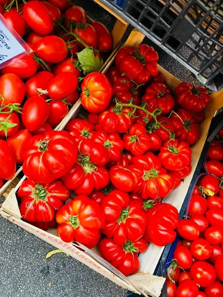 Menu_Vagner Aguiar GmbH_Langenthal_image_4