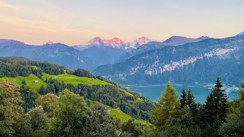 Abhishek Tadishina Reddy_Restaurant Jungfrau_Beatenberg_review