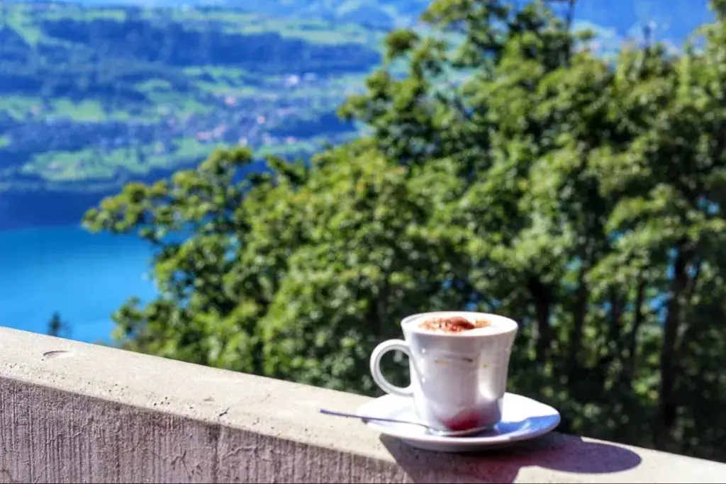 Nasser Al-Ahmadi_Buffet_Beatenberg_review