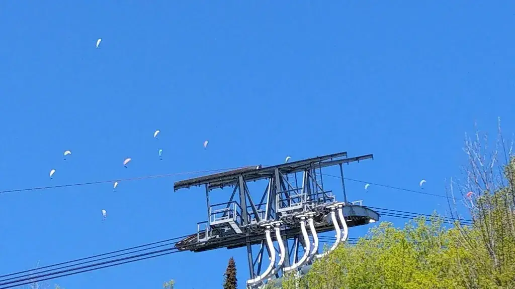 Marko Martin_Buffet_Beatenberg_review