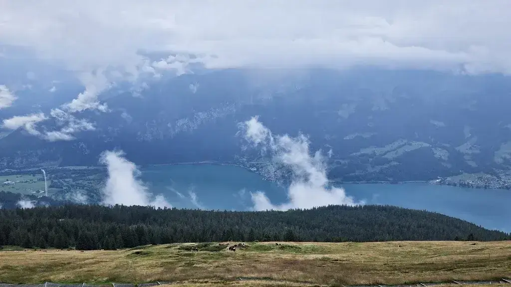 Daniel Wisniak_Niederhorn_Beatenberg_review