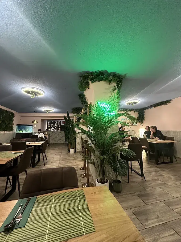 Vishwa Patel_Madras Jungle_Interlaken_avis