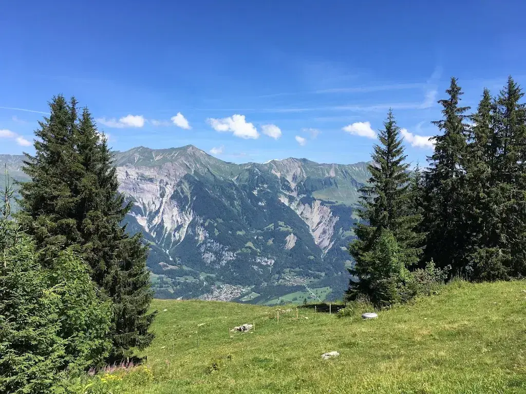 Wayne Humphrey_Axalp Stübli_Axalp_avis