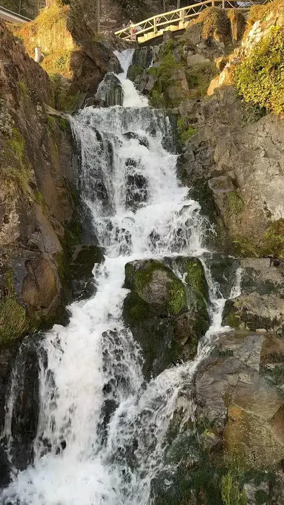 Mariam Ishak_St. Beatus Waterfall_Beatenberg_avis