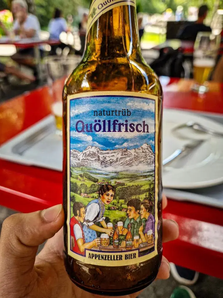 Jelan Jović_Restaurant Aareschlucht_Meiringen_review