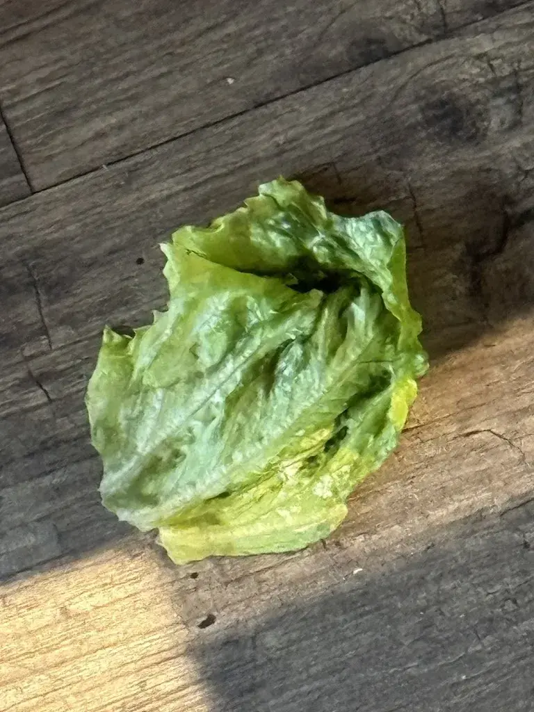 Menu_Migros-Restaurant - Meiringen_Meiringen_image_8