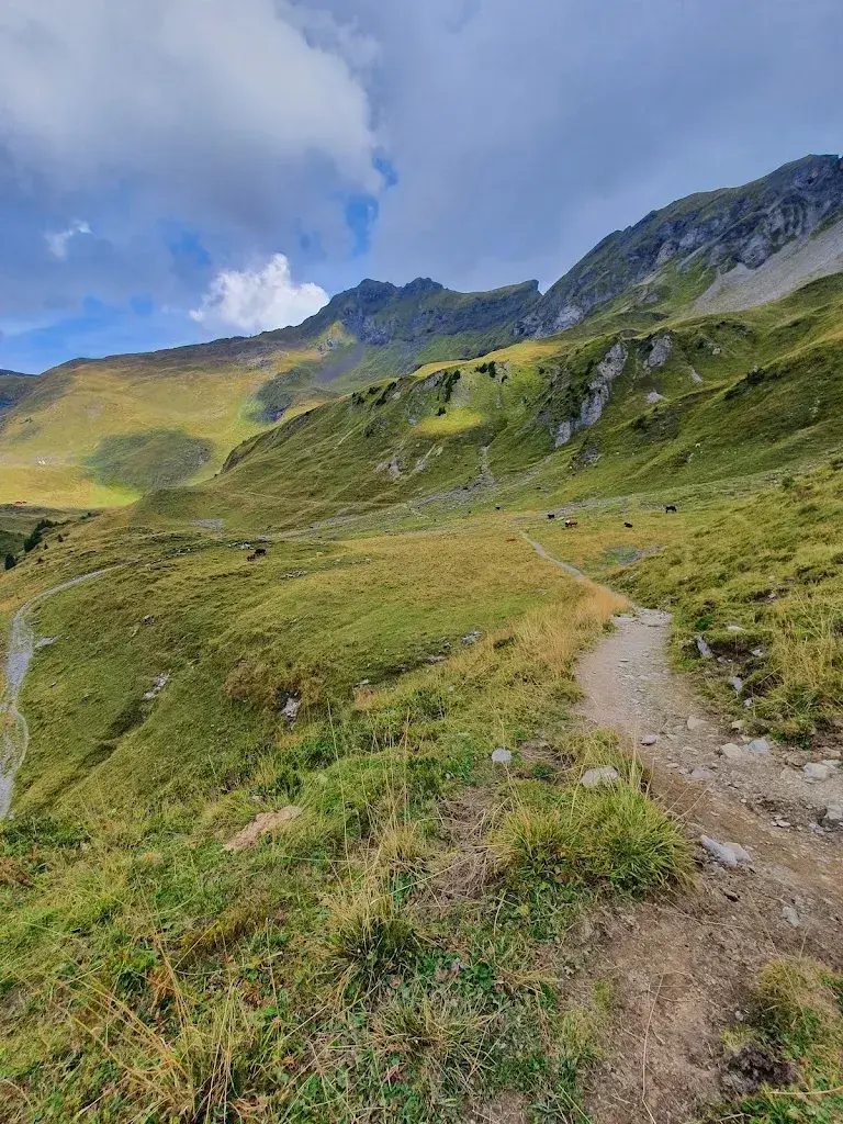 Olga Gerouti_Hääggenstubeli_Hasliberg_avis