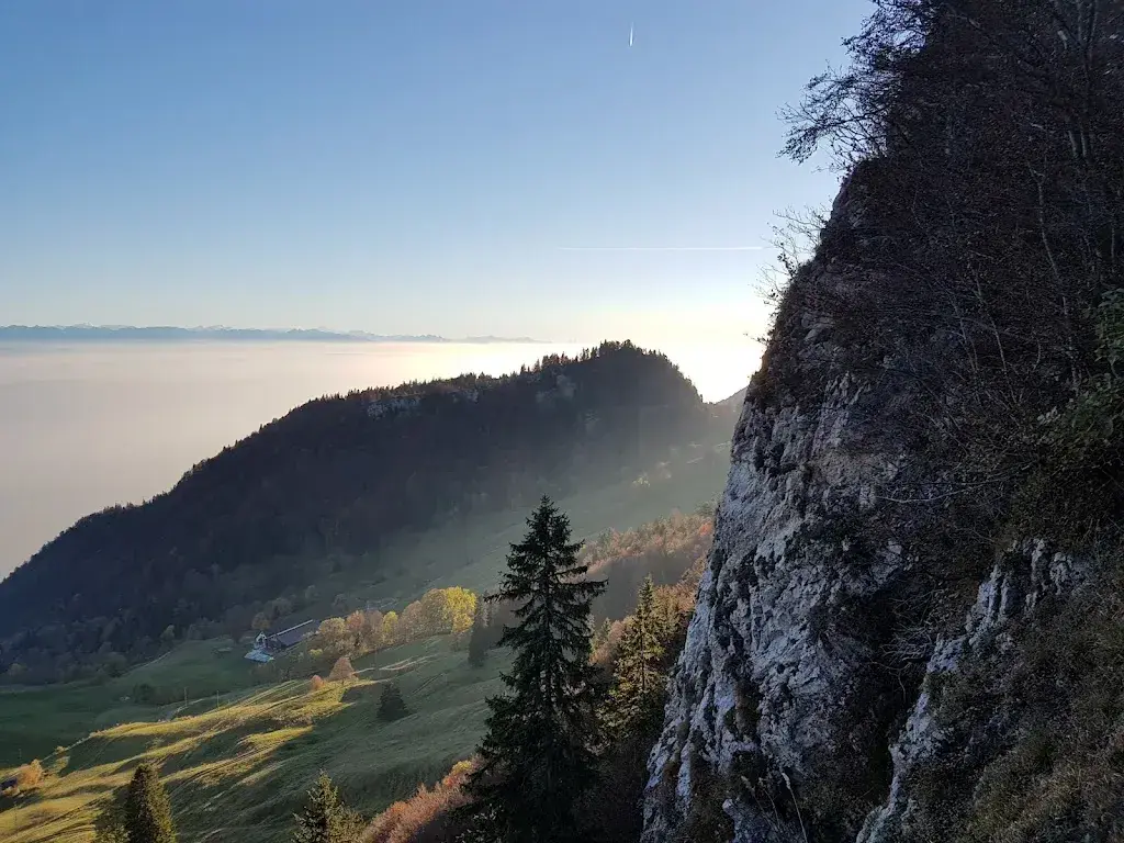 Diego Caviglia_Gasthof Hinter Weissenstein_b_avis