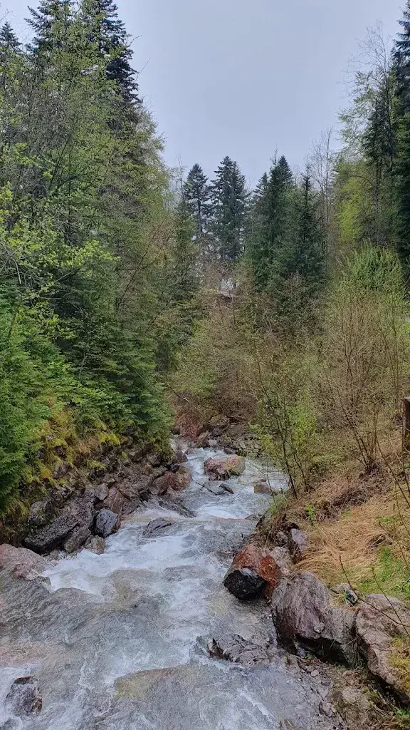 Gicu Hincu_Hotel Meielisalp_Leissigen_review