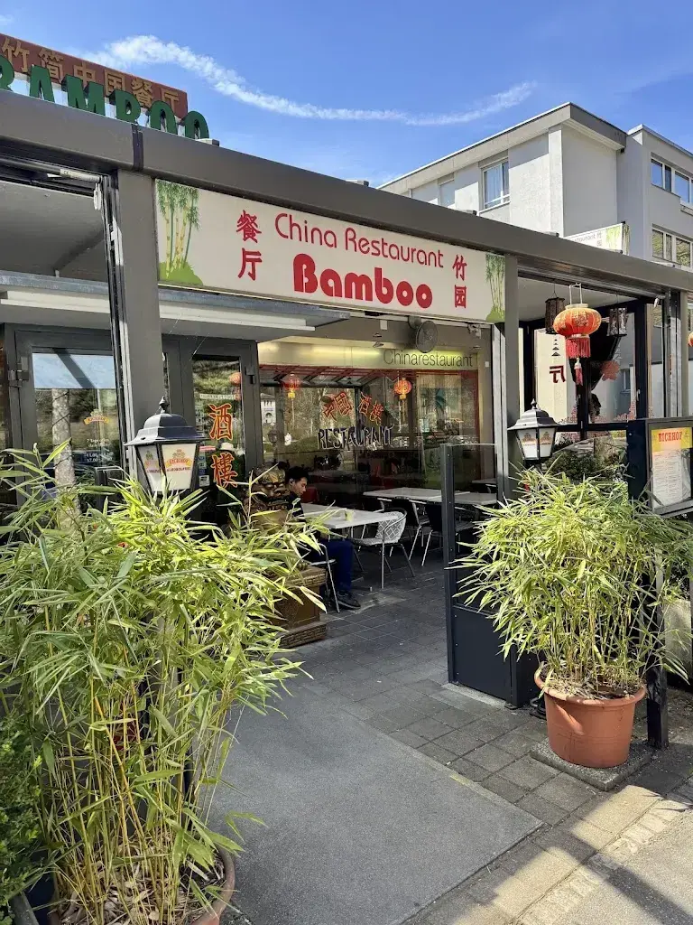 Sherwin Clarence Go_Bamboo_Interlaken_review