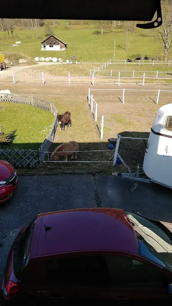 Matteo Sabbatini_Eichhof_Brienzwiler_avis