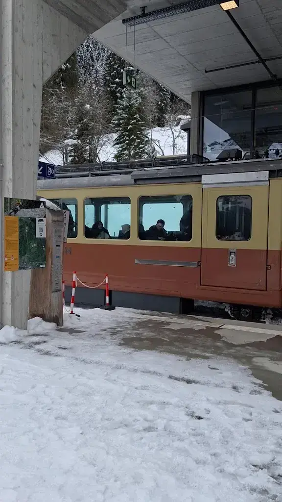 Ursula GB_Bistro Grütschalp_Lauterbrunnen_review